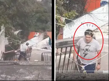 Maltrato y abusos a perritos 